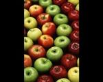 t_fruitapplesmulticolored.jpg