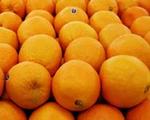 t_fruitorangesstackedlr.jpg